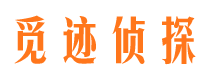 大田市调查公司